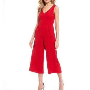 V-Neck Wide Leg Pleated Jumpsuit